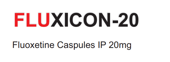 fluxicon-20